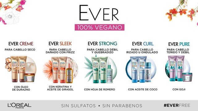 Ever Infografia Gama